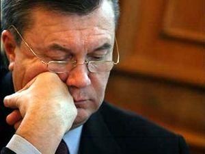 Янукович сменил главу миграционной службы