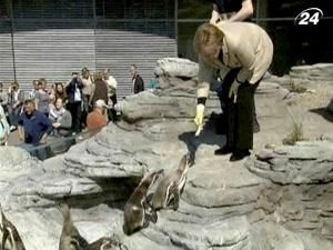Ангела Меркель взяла самицю пінгвіна під свою опіку