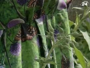 Дизайнеры создали экологическую одежду, которая привлекает насекомых-опылителей Дизайнеры создали экологическую одежду, которая привлекает насекомых-опылителей