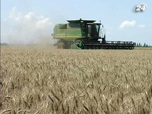 ООН: урожай зерновых в Украине вырастет