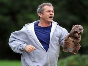 Новый фильм с Мелом Гибсоном валится в прокате Новый фильм с Мелом Гибсоном валится в прокате