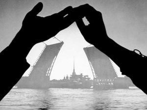 Вчені знайшли головну причину розлучень Вчені знайшли головну причину розлучень