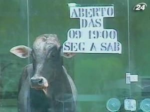 У Бразилії бик увірвався до магазину У Бразилії бик увірвався до магазину