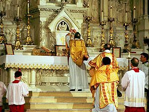 Папа Римский разрешил проводить традиционные мессы Папа Римский разрешил проводить традиционные мессы