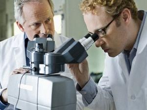 Донецкая власть хочет вернуть ученых из-за рубежа Донецкая власть хочет вернуть ученых из-за рубежа