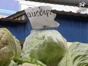 Азаров обеспокоен подорожанием капусты Азаров обеспокоен подорожанием капусты