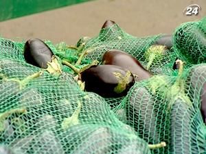 Овочі дорожчають через відсутність овочесховищ Овочі дорожчають через відсутність овочесховищ