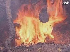 В России бушуют сильные лесные пожары В России бушуют сильные лесные пожары