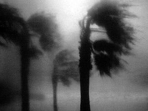 Жертвами шторма в Индии стали 110 человек Жертвами шторма в Индии стали 110 человек