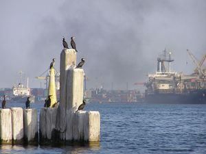 В Ильичевске затонуло судно с топливом В Ильичевске затонуло судно с топливом