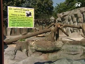 Для ведмедів київського зоопарку збудували новий вольєр за 4 мільйони