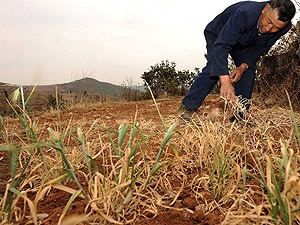 У Китаї близько 10 мільйонів людей страждають через посуху У Китаї близько 10 мільйонів людей страждають через посуху
