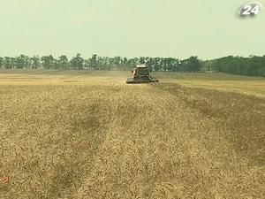 Аграрії просять ветувати закон про мита на експорт зерна