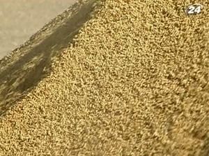 Украина экспортирует около 20 млн. т зерновых
