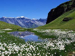 Швейцария отказывается от АЭС Швейцария отказывается от АЭС