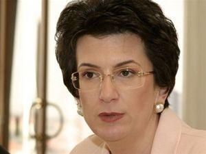 МВС Грузії: Опозиція готує бойові загони для революції МВС Грузії: Опозиція готує бойові загони для революції