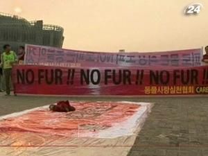 Fendi не на шутку разозлил защитников прав животных Fendi не на шутку разозлил защитников прав животных