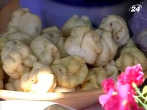 Пятый год подряд в Полтаве отмечают праздник галушки Пятый год подряд в Полтаве отмечают праздник галушки