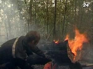 В России борются с лесными пожарами