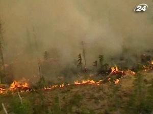 В Красноярському краї Росії лютують лісові пожежі