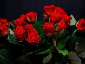 Журналистов в Межгорье задабривали розами и тортом Журналистов в Межгорье задабривали розами и тортом