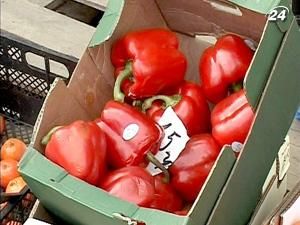 Украина и Молдова открыли "зеленый коридор" для овощей и фруктов Украина и Молдова открыли "зеленый коридор" для овощей и фруктов