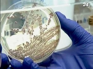 Источником кишечной инфекция могла быть пророщенная соя Источником кишечной инфекция могла быть пророщенная соя