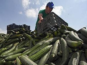 У Європі розглянуть механізми компенсацій фермерам У Європі розглянуть механізми компенсацій фермерам