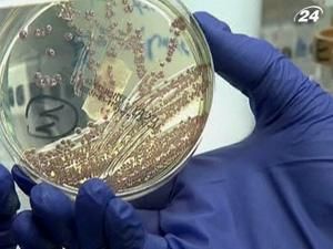 Перший випадок зараження E.coli виявили у Польщі