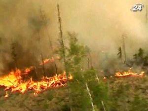 Площадь лесных пожаров в России превысила прошлогодний показатель втрое