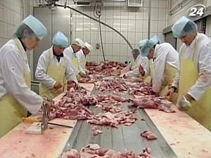 Митний союз інспектує 32 українські підприємства Митний союз інспектує 32 українські підприємства