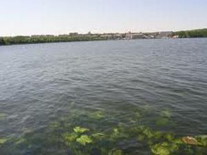 Запорожье: в водоемах было обнаружено 13 холероподобных вибрионов Запорожье: в водоемах было обнаружено 13 холероподобных вибрионов