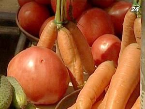 Україна має план заходів розвитку виробництва овочів Україна має план заходів розвитку виробництва овочів