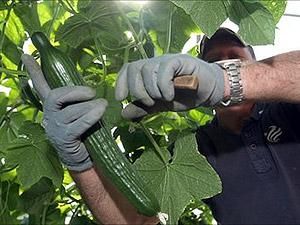 Єврокомісія виділить 210 мільйонів євро на компенсації для фермерів Єврокомісія виділить 210 мільйонів євро на компенсації для фермерів