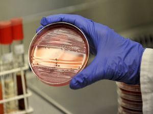 Германии определиться с инфекцией помогает Китай Германии определиться с инфекцией помогает Китай