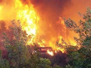 Из-за пожаров в США эвакуировали еще 8 тысяч человек Из-за пожаров в США эвакуировали еще 8 тысяч человек