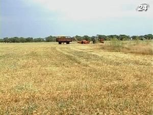 Азаров: Україна експортує 15 млн. тонн зерна