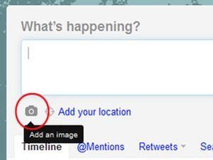 Twitter тестує фотосервіс Twitter тестує фотосервіс