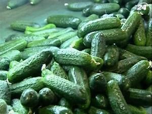 Германия восстановит репутацию испанского овощеводства Германия восстановит репутацию испанского овощеводства