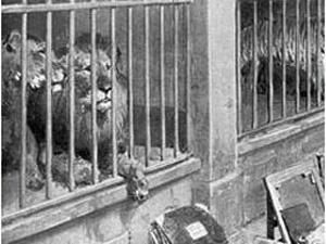 10 червня. День в історії - 10 червня 2011 - Телеканал новин 24 10 червня. День в історії - 10 червня 2011 - Телеканал новин 24