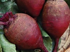 У Нідерландах в буряці виявлено новий різновид бактерії E.coli У Нідерландах в буряці виявлено новий різновид бактерії E.coli