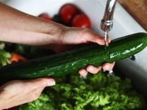 Влада Німеччини готова дозволити їсти огірки Влада Німеччини готова дозволити їсти огірки