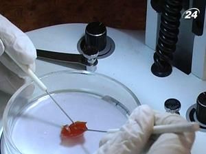 В Україну з Європи їде менше овочів і фруктів В Україну з Європи їде менше овочів і фруктів