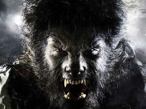 Universal Pictures перезапустит "Человека-волка" Universal Pictures перезапустит "Человека-волка"