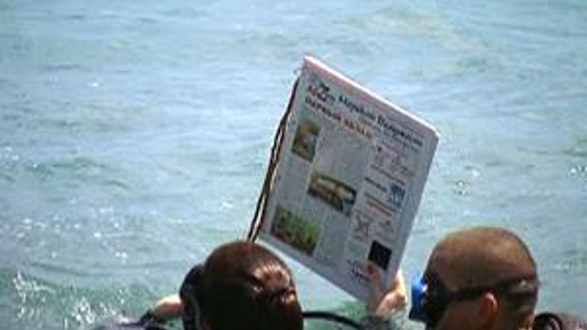 Ялтинские журналисты создали первую в Украине газету, сверстанную под водой 