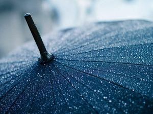 Завтра обещают дожди - 12 июня 2011 - Телеканал новин 24 Завтра обещают дожди - 12 июня 2011 - Телеканал новин 24