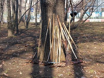 В Кировограде школьникам будут платить за уборку В Кировограде школьникам будут платить за уборку