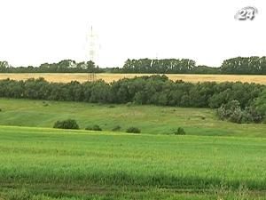 Каждый гражданин Украины сможет купить не больше чем 2100 га земли Каждый гражданин Украины сможет купить не больше чем 2100 га земли