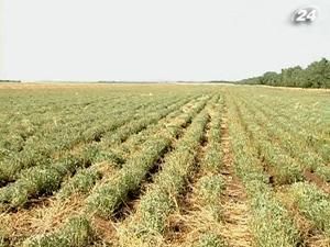 В Україні запровадять мораторій на продаж землі іноземцям В Україні запровадять мораторій на продаж землі іноземцям