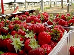 Фермерам упростили процедуру регистрации хозяйства Фермерам упростили процедуру регистрации хозяйства